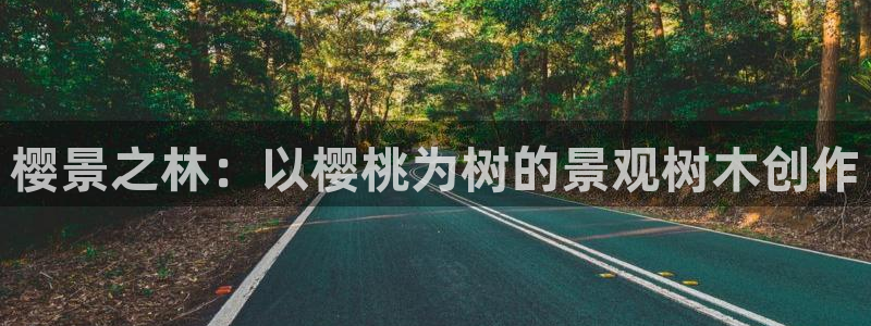 新宝gg网赚