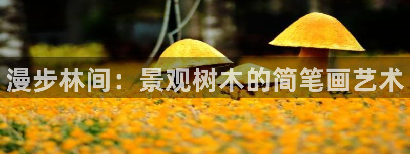 新宝gg娱乐上皇巢网