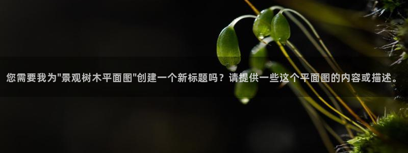 认准新宝gg