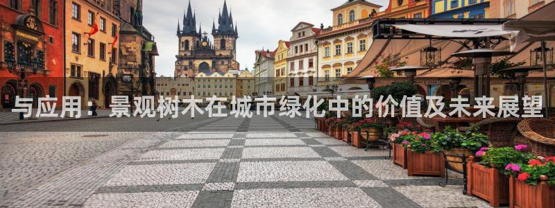 新宝gg和新宝5：与应用：景观树木在城市绿化中的价值及未来展望