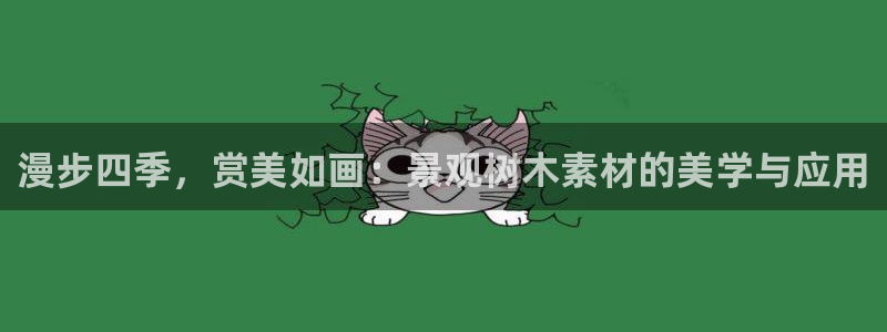 新宝gg 奇迹