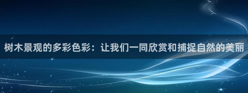 新宝gg网址