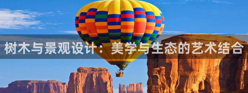 新宝gg待遇