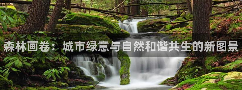 新宝gg网