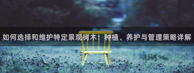 新宝gg申请账号