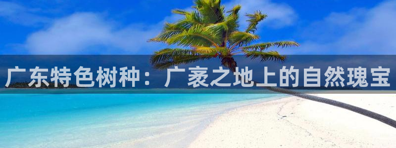 新宝gg在哪开户