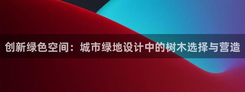 新宝gg是什么