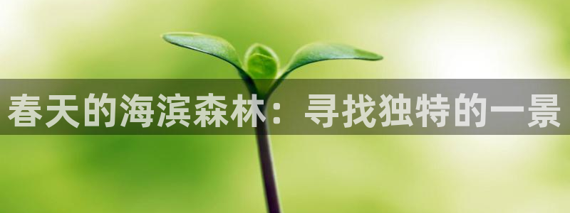 新宝gg投注