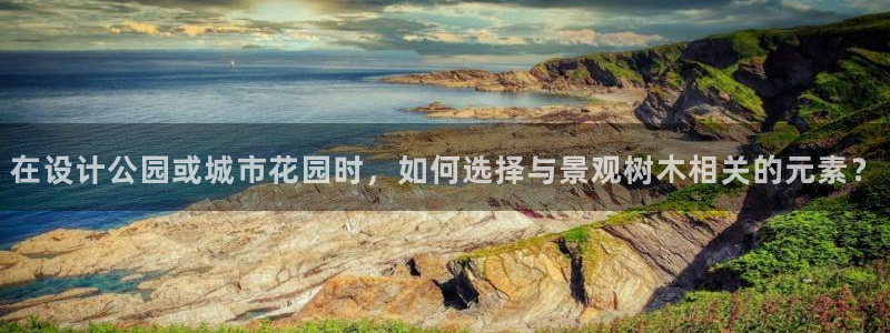 新宝gg怎样代理