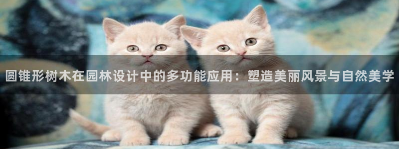 新宝gg招商-299136：圆锥形树木在园林设计中的多功能应用：塑造美丽风景与自然美学