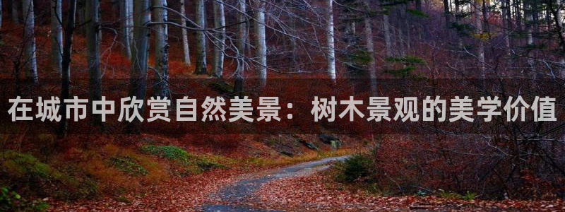 新宝gg计划：在城市中欣赏自然美景：树木景观的美学价值