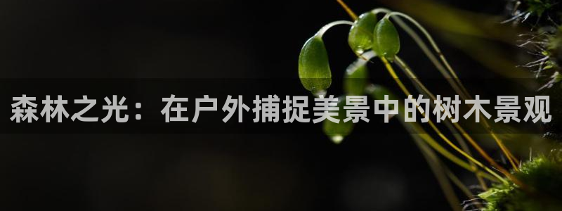 新宝gg娱乐主管q42873