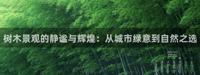 新宝gg传奇：树木景观的静谧与辉煌：从城市绿意到自然之选