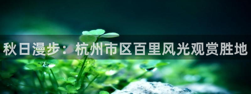 新宝gg开号