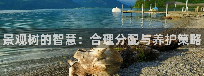 新宝gg娱乐首页