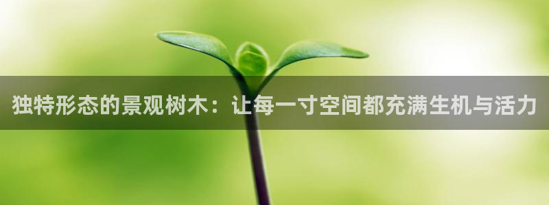 新宝gg直属