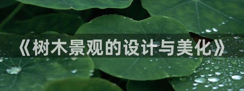新宝gg 金苹果
