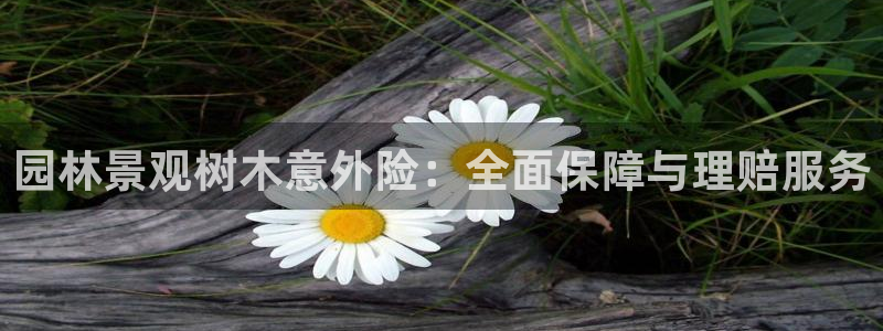 新宝gg平台：园林景观树木意外险：全面保障与理赔服务
