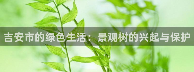 新宝gg会员登录：吉安市的绿色生活：景观树的兴起与保护