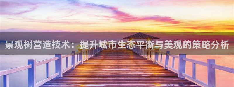 新宝gg龙虎规则