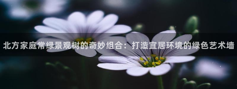 新宝GG娱乐-上皇巢网
