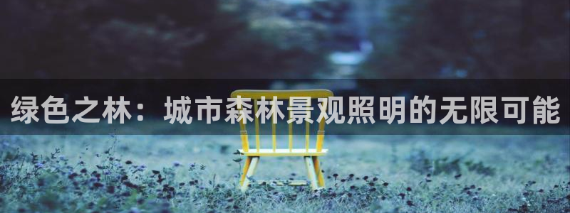 新宝gg真的能赚钱么