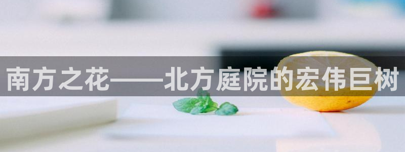 新宝gg博彩