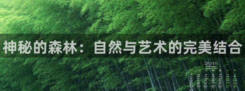 新宝gg 主管：神秘的森林：自然与艺术的完美结合