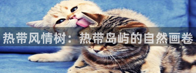 新宝集团gg