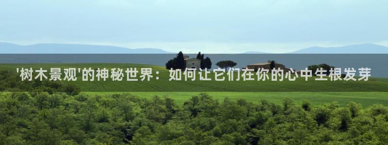 新宝gg代理
