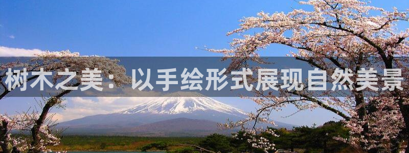 新宝gg找回账号：树木之美：以手绘形式展现自然美景