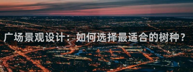 新宝gg群