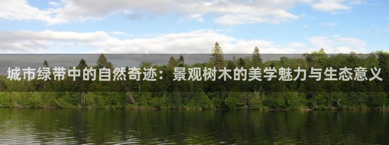 新宝gg招商