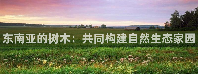 新宝gg创造奇迹