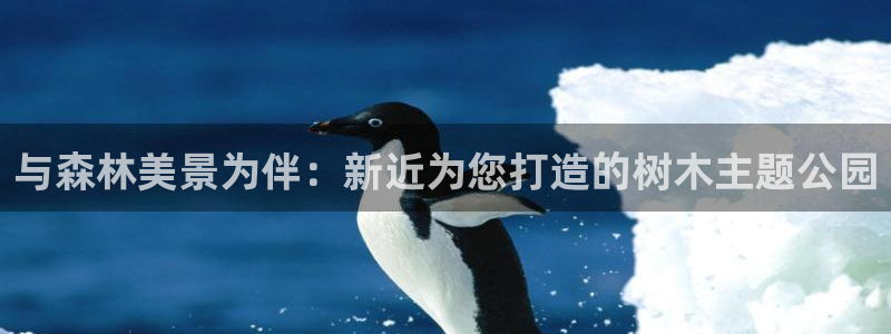 新宝gg试玩