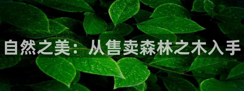 新宝gg平台下载安装