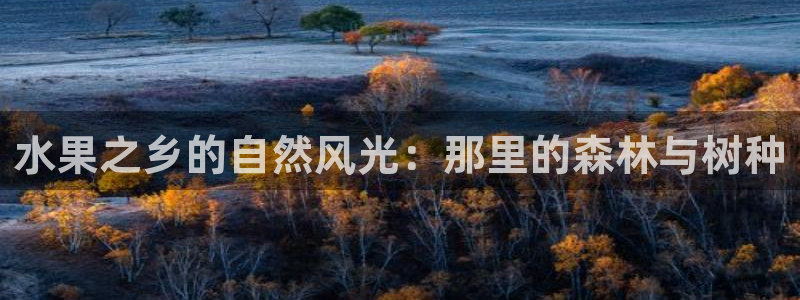 新宝gg主管花木兰