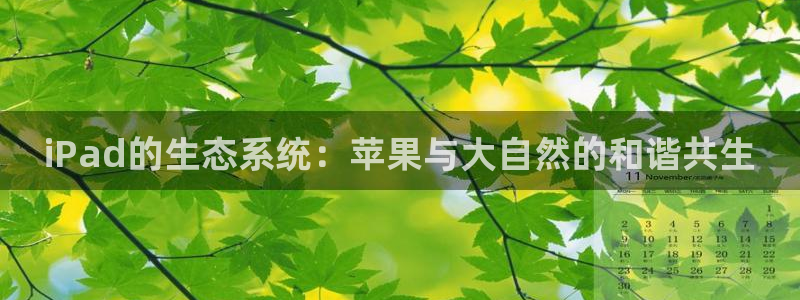 新宝gg走势：iPad的生态系统：苹果与大自然的和谐共生