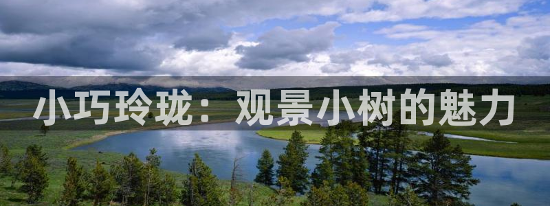 新宝gg-创业奇迹