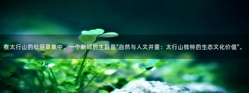 新宝gg娱乐