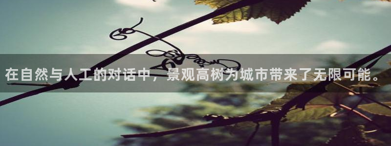 新宝gg黑平台：在自然与人工的对话中，景观高树为城市带来了无限可能。