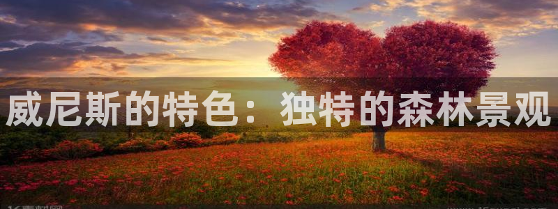 新宝gg佣金：威尼斯的特色：独特的森林景观