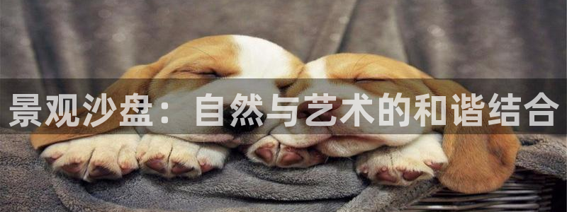 新宝gg联系：景观沙盘：自然与艺术的和谐结合