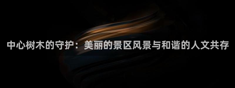 网站是新宝gg
