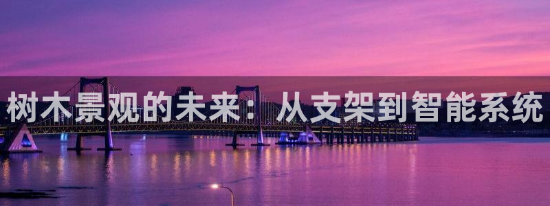 新宝gg平台下载安装