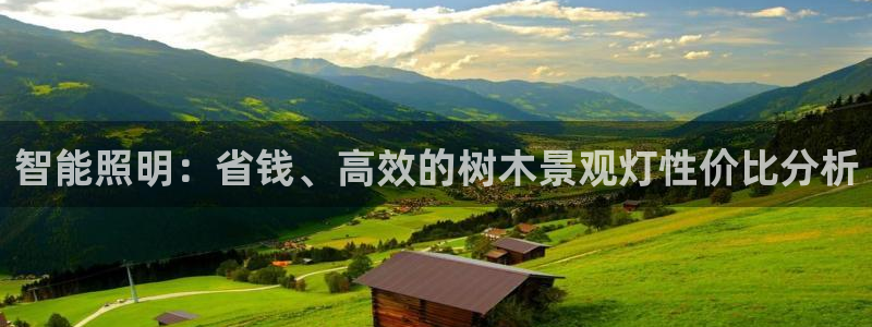 新宝gg娱乐怎么样