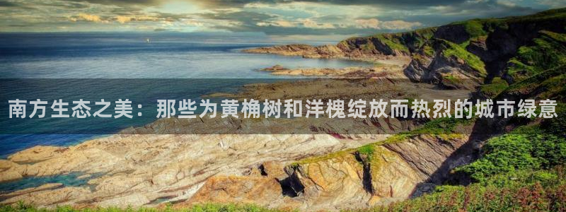 新宝gg dengludizhi