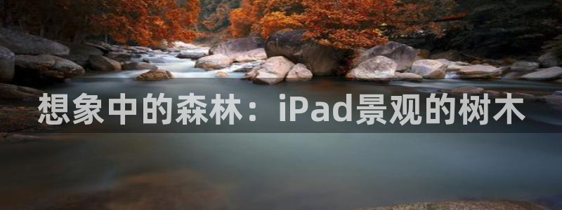 新宝GG手机客户端