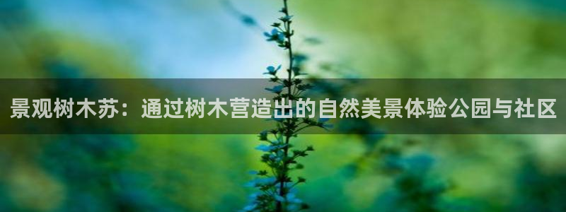 新宝6娱乐新宝gg