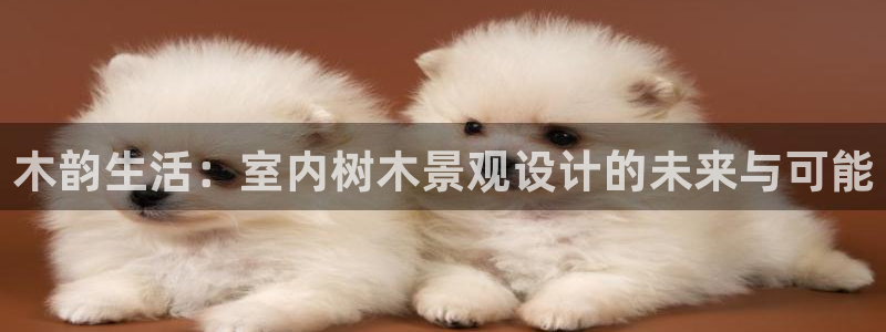 新宝gg -创造：木韵生活：室内树木景观设计的未来与可能